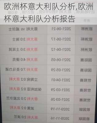 欧洲杯意大利队分析,欧洲杯意大利队分析报告