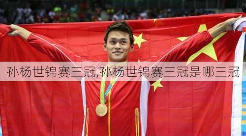 孙杨世锦赛三冠,孙杨世锦赛三冠是哪三冠