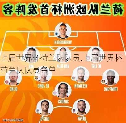 上届世界杯荷兰队队员,上届世界杯荷兰队队员名单