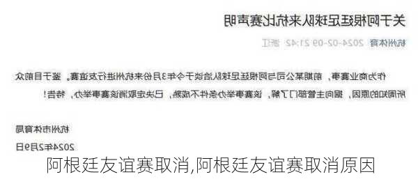 阿根廷友谊赛取消,阿根廷友谊赛取消原因