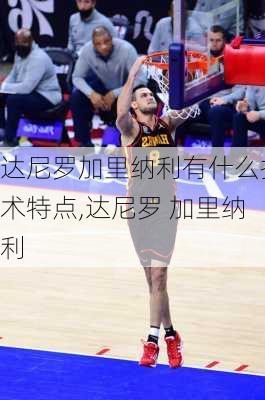 达尼罗加里纳利有什么技术特点,达尼罗 加里纳利