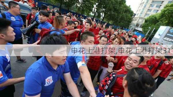 申花上港打架,申花上港打架311