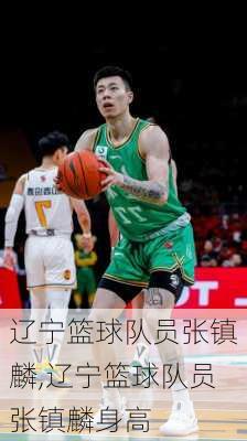 辽宁篮球队员张镇麟,辽宁篮球队员张镇麟身高
