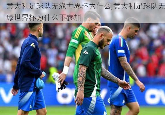 意大利足球队无缘世界杯为什么,意大利足球队无缘世界杯为什么不参加