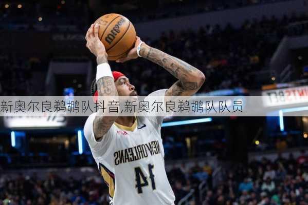 新奥尔良鹈鹕队抖音,新奥尔良鹈鹕队队员