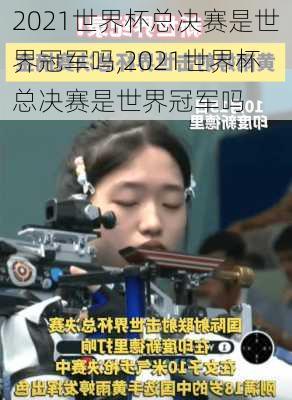 2021世界杯总决赛是世界冠军吗,2021世界杯总决赛是世界冠军吗
