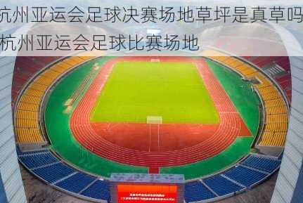 杭州亚运会足球决赛场地草坪是真草吗,杭州亚运会足球比赛场地
