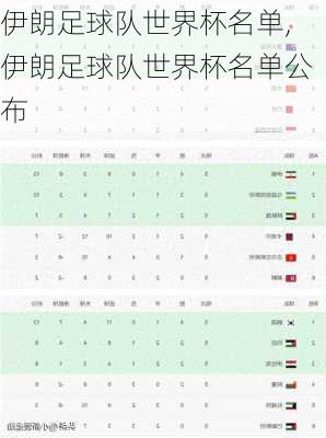 伊朗足球队世界杯名单,伊朗足球队世界杯名单公布
