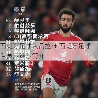 西班牙足球队员拉维,西班牙足球队员拉维尔简介