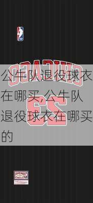 公牛队退役球衣在哪买,公牛队退役球衣在哪买的