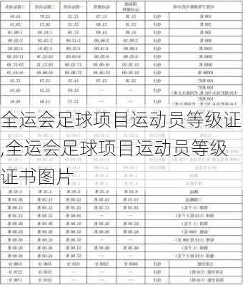 全运会足球项目运动员等级证,全运会足球项目运动员等级证书图片