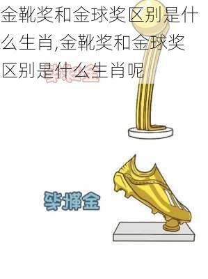 金靴奖和金球奖区别是什么生肖,金靴奖和金球奖区别是什么生肖呢