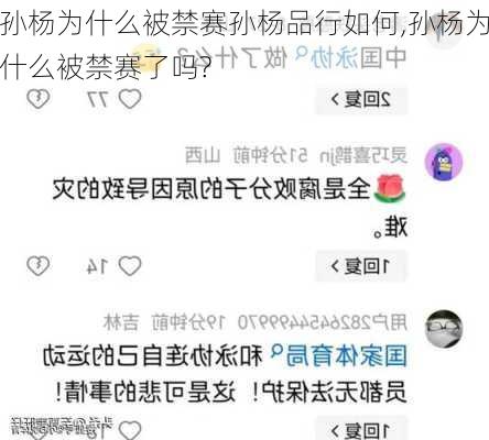 孙杨为什么被禁赛孙杨品行如何,孙杨为什么被禁赛了吗?