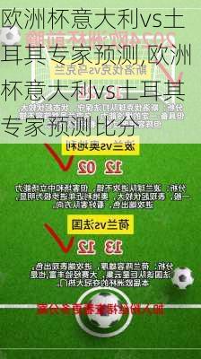 欧洲杯意大利vs土耳其专家预测,欧洲杯意大利vs土耳其专家预测比分