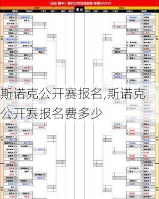 斯诺克公开赛报名,斯诺克公开赛报名费多少