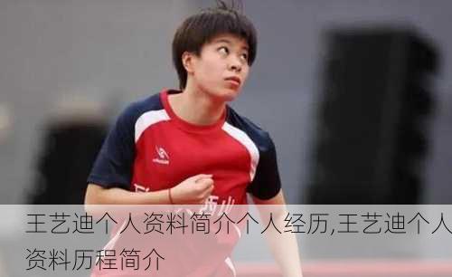 王艺迪个人资料简介个人经历,王艺迪个人资料历程简介
