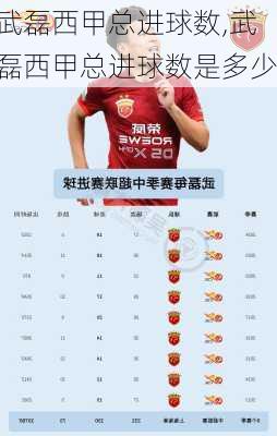 武磊西甲总进球数,武磊西甲总进球数是多少