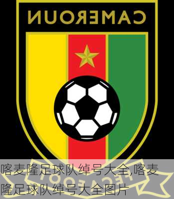 喀麦隆足球队绰号大全,喀麦隆足球队绰号大全图片