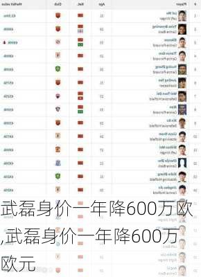 武磊身价一年降600万欧,武磊身价一年降600万欧元