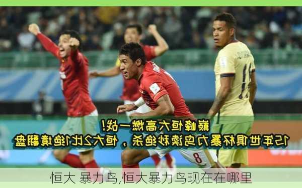 恒大 暴力鸟,恒大暴力鸟现在在哪里