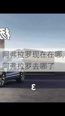 阿弗拉罗现在在哪,阿弗拉罗去哪了