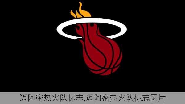 迈阿密热火队标志,迈阿密热火队标志图片