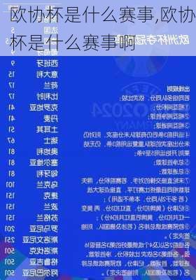 欧协杯是什么赛事,欧协杯是什么赛事啊