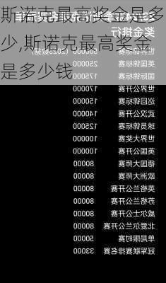 斯诺克最高奖金是多少,斯诺克最高奖金是多少钱