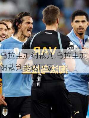 乌拉圭加纳裁判,乌拉圭加纳裁判被送回家