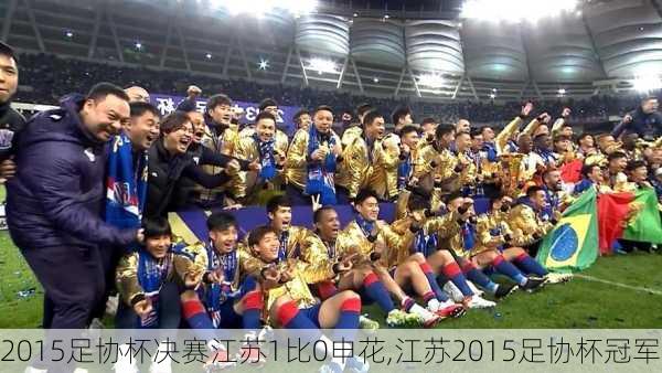 2015足协杯决赛江苏1比0申花,江苏2015足协杯冠军