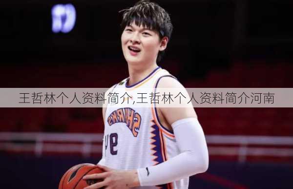 王哲林个人资料简介,王哲林个人资料简介河南