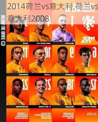 2014荷兰vs意大利,荷兰vs意大利2008