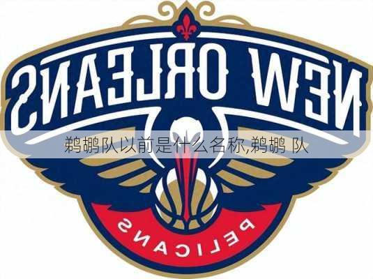 鹈鹕队以前是什么名称,鹈鹕 队
