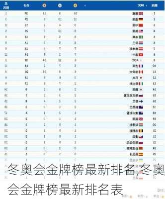 冬奥会金牌榜最新排名,冬奥会金牌榜最新排名表