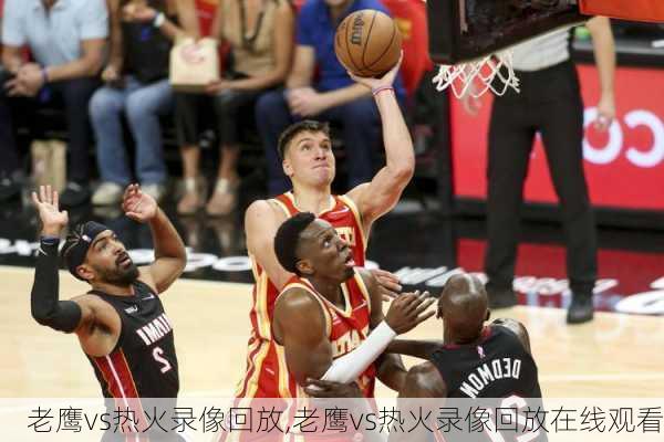 老鹰vs热火录像回放,老鹰vs热火录像回放在线观看