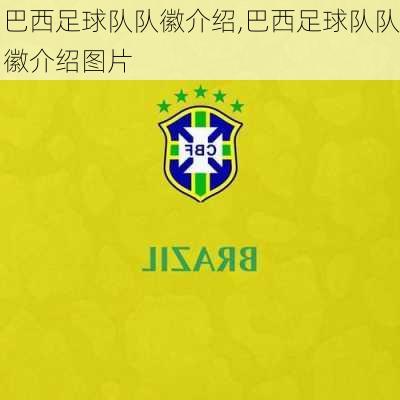 巴西足球队队徽介绍,巴西足球队队徽介绍图片