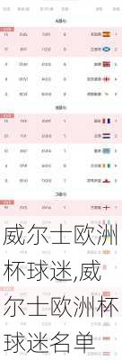 威尔士欧洲杯球迷,威尔士欧洲杯球迷名单