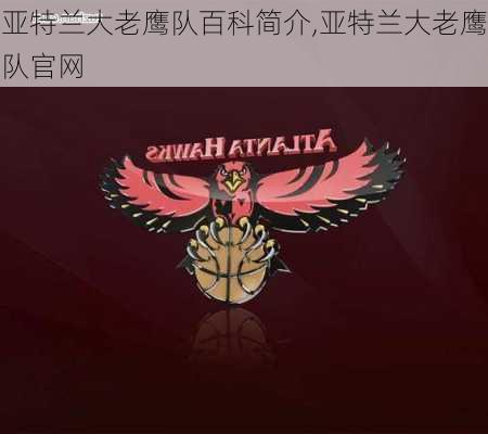 亚特兰大老鹰队百科简介,亚特兰大老鹰队官网