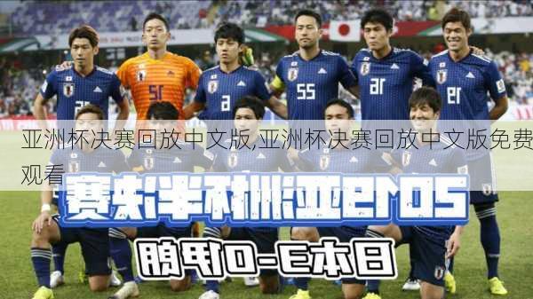 亚洲杯决赛回放中文版,亚洲杯决赛回放中文版免费观看