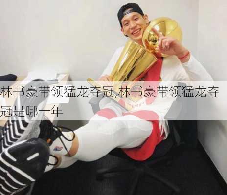 林书豪带领猛龙夺冠,林书豪带领猛龙夺冠是哪一年