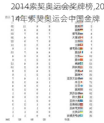 2014索契奥运会奖牌榜,2014年索契奥运会中国金牌