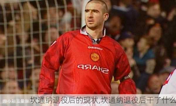 坎通纳退役后的现状,坎通纳退役后干了什么
