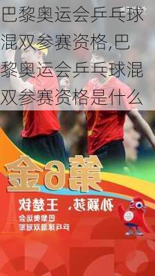 巴黎奥运会乒乓球混双参赛资格,巴黎奥运会乒乓球混双参赛资格是什么