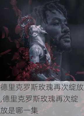 德里克罗斯玫瑰再次绽放,德里克罗斯玫瑰再次绽放是哪一集