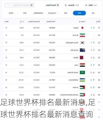 足球世界杯排名最新消息,足球世界杯排名最新消息查询