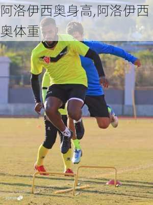阿洛伊西奥身高,阿洛伊西奥体重