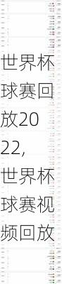 世界杯球赛回放2022,世界杯球赛视频回放