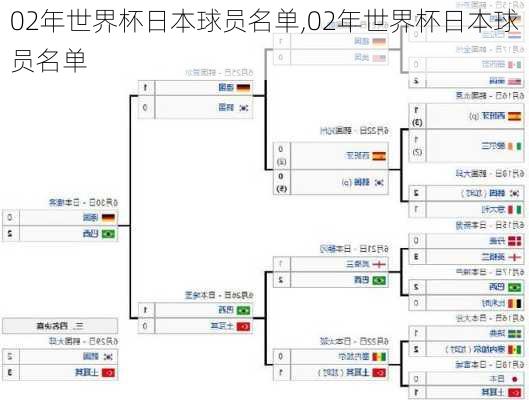 02年世界杯日本球员名单,02年世界杯日本球员名单
