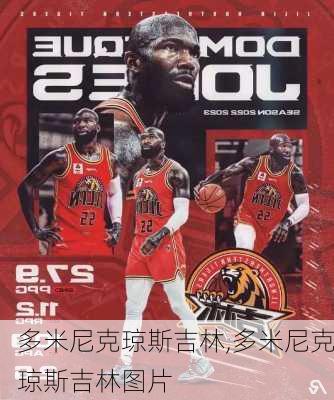多米尼克琼斯吉林,多米尼克琼斯吉林图片