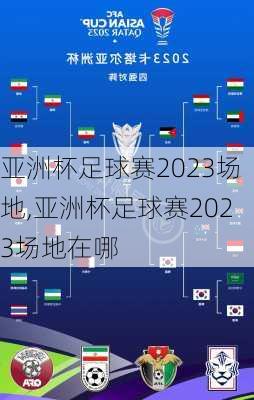 亚洲杯足球赛2023场地,亚洲杯足球赛2023场地在哪